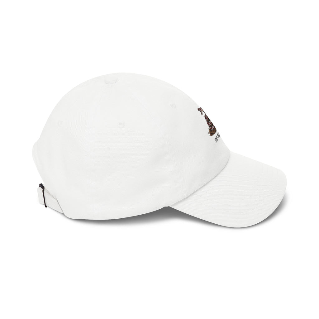 Dad Cap — Gadsden Flag 'Don't Tread On Me' Embroidered Snake Hat